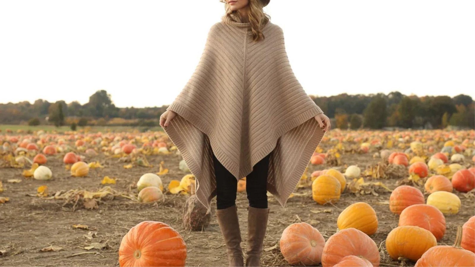  A woman in a colorful poncho stands among vibrant orange pumpkins in a sunlit field.