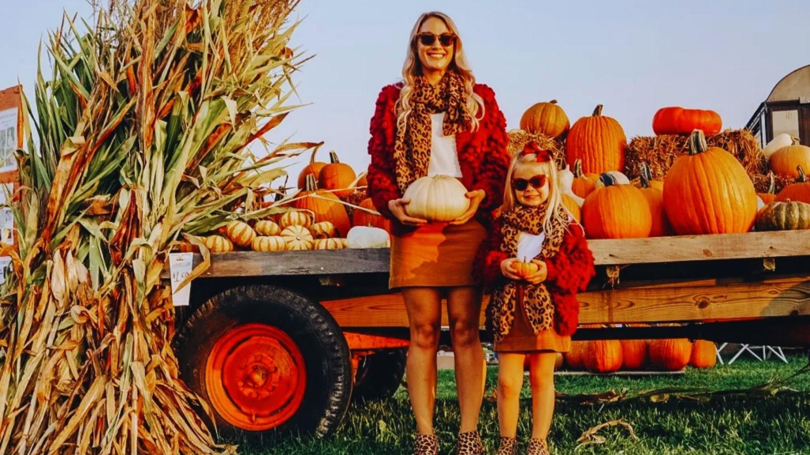 A woman and her daughter pose together in front of a vibrant pumpkin patch, surrounded by various pumpkins.
