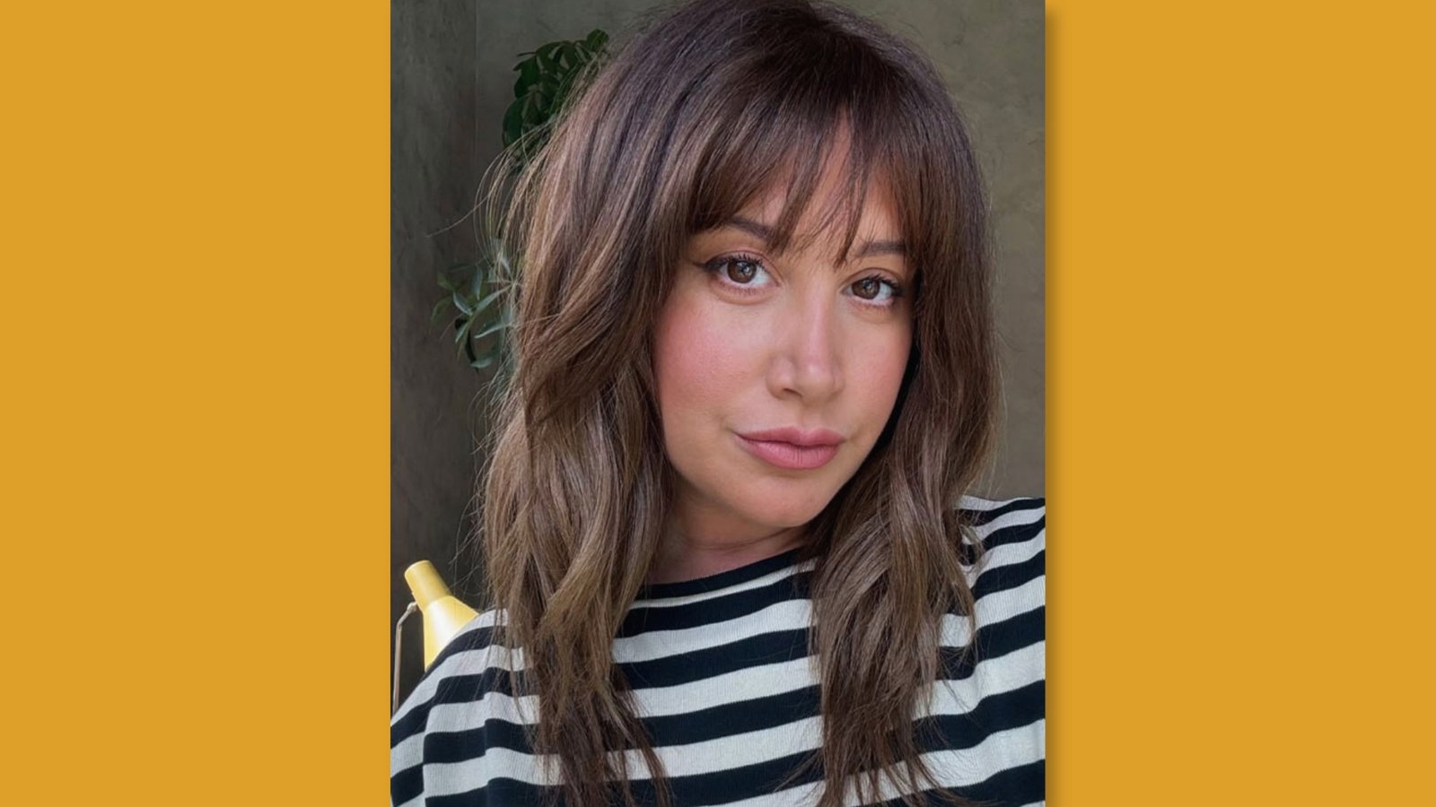 Low maintenance long layered haircut with soft curtain bangs and bouncy face-framing layers on brunette hair for round face 
